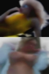 Fuck black swingers